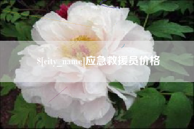 中国香港应急救援员价格