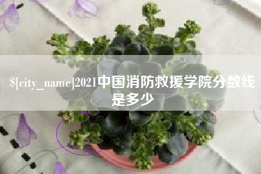 中国香港2021中国消防救援学院分数线是多少