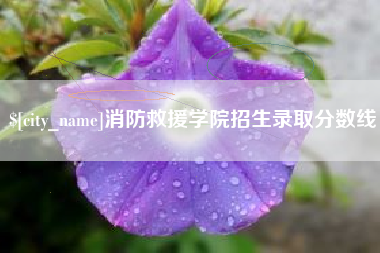 中国香港消防救援学院招生录取分数线