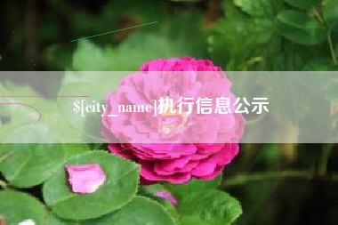 中国香港执行信息公示