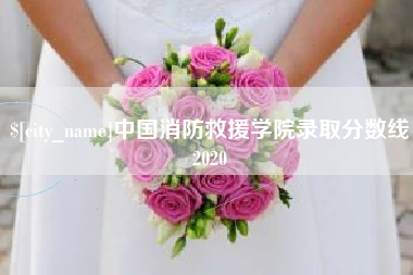 中国香港中国消防救援学院录取分数线2020