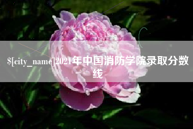 中国香港2021年中国消防学院录取分数线