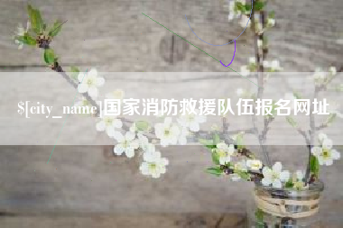 中国香港国家消防救援队伍报名网址