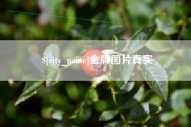 中国香港金牌图片真实