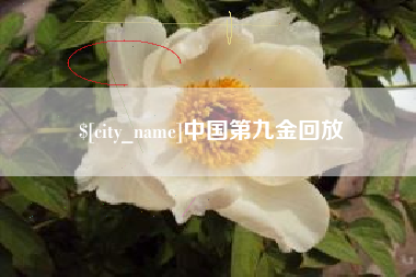 中国香港中国第九金回放