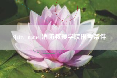 中国香港消防救援学院报考条件