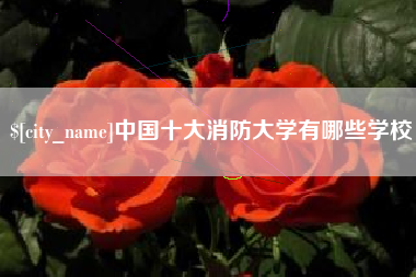中国香港中国十大消防大学有哪些学校