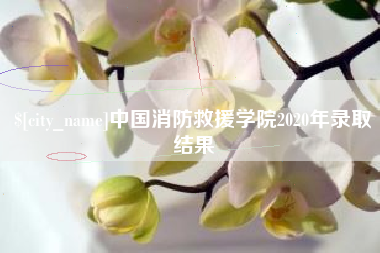 中国香港中国消防救援学院2020年录取结果