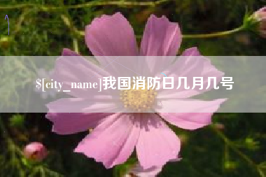 中国香港我国消防日几月几号