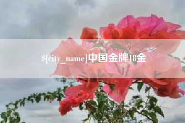 中国香港中国金牌18金