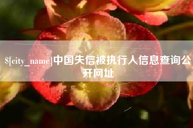 中国香港中国失信被执行人信息查询公开网址
