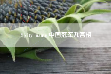 中国香港中国冠军九宫格
