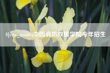 中国香港中国消防救援学院今年招生