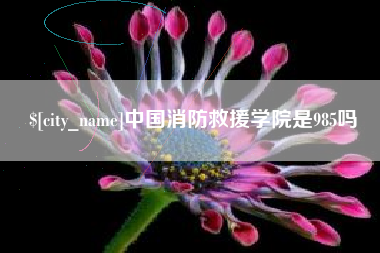 中国香港中国消防救援学院是985吗