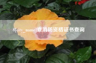 中国香港查消防资格证书查询