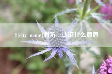 中国香港消防ccc认证什么意思