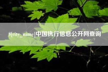 中国香港中国执行信息公开网查询