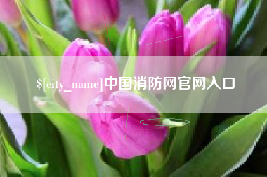 中国香港中国消防网官网入口