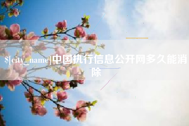 中国香港中国执行信息公开网多久能消除