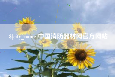 中国香港中国消防器材网官方网站