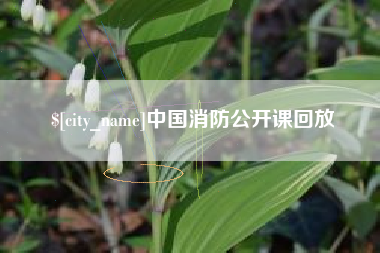 中国香港中国消防公开课回放