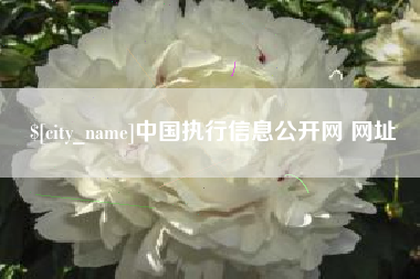 中国香港中国执行信息公开网 网址