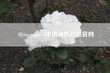 中国香港中国消防产品官网