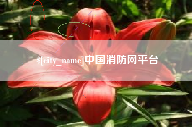 中国香港中国消防网平台