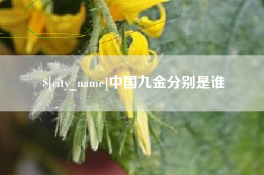 中国香港中国九金分别是谁