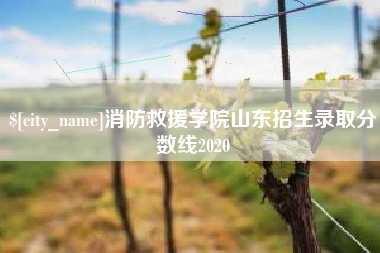 中国香港消防救援学院山东招生录取分数线2020