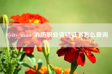 中国香港消防职业资格证书怎么查询