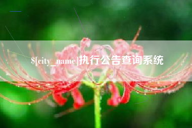 中国香港执行公告查询系统