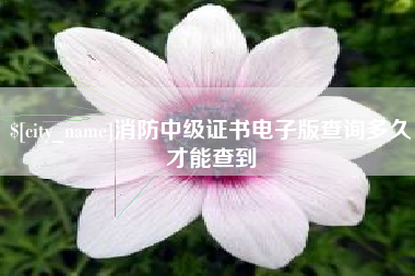 中国香港消防中级证书电子版查询多久才能查到