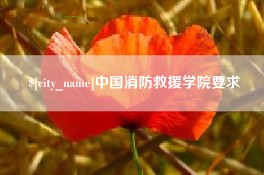 中国香港中国消防救援学院要求