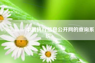 中国香港中国执行信息公开网的查询系统