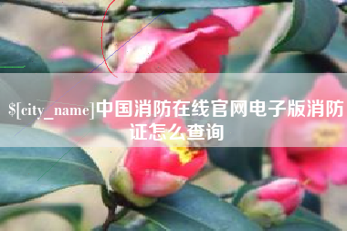 中国香港中国消防在线官网电子版消防证怎么查询