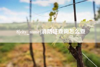 中国香港消防证查询怎么查