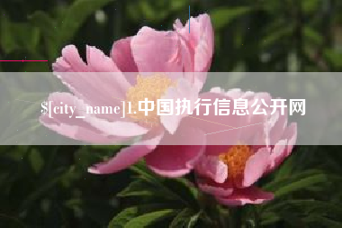 中国香港1.中国执行信息公开网