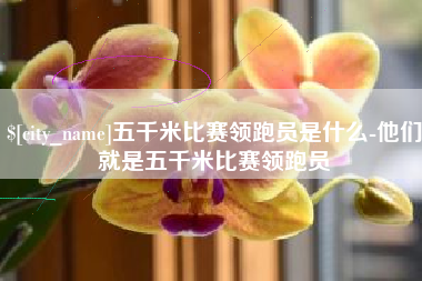 中国香港五千米比赛领跑员是什么-他们就是五千米比赛领跑员