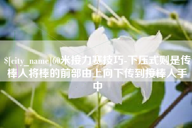 中国香港60米接力赛技巧-下压式则是传棒人将棒的前部由上向下传到接棒人手中