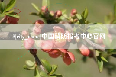 中国香港中国消防报考中心官网