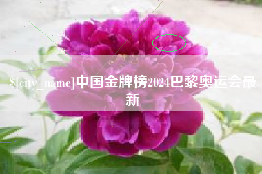 中国香港中国金牌榜2024巴黎奥运会最新