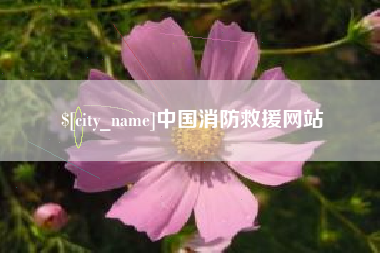 中国香港中国消防救援网站