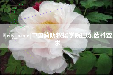 中国香港中国消防救援学院山东选科要求