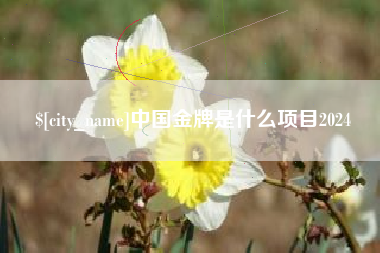 中国香港中国金牌是什么项目2024