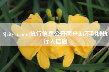 中国香港执行信息公开网查询不到被执行人信息
