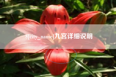 中国香港九宫详细说明
