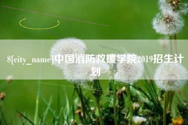 中国香港中国消防救援学院2019招生计划