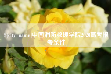 中国香港中国消防救援学院2020高考报考条件