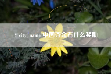 中国香港中国夺金有什么奖励